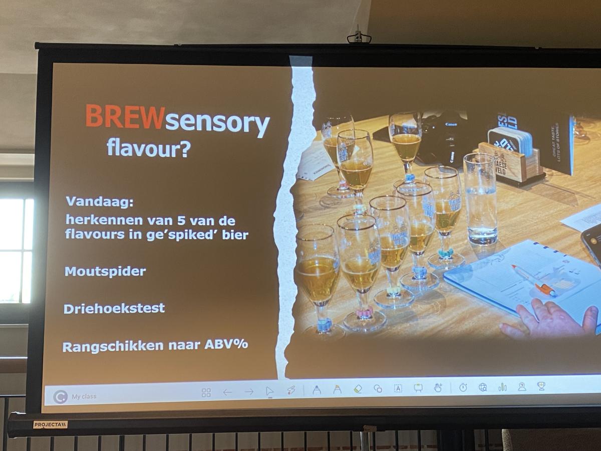 Brewed Brewsensory - aroma's