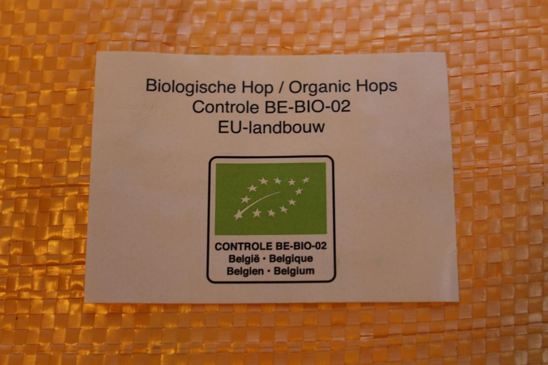 Oogst hop - De Plukker (Poperinge)