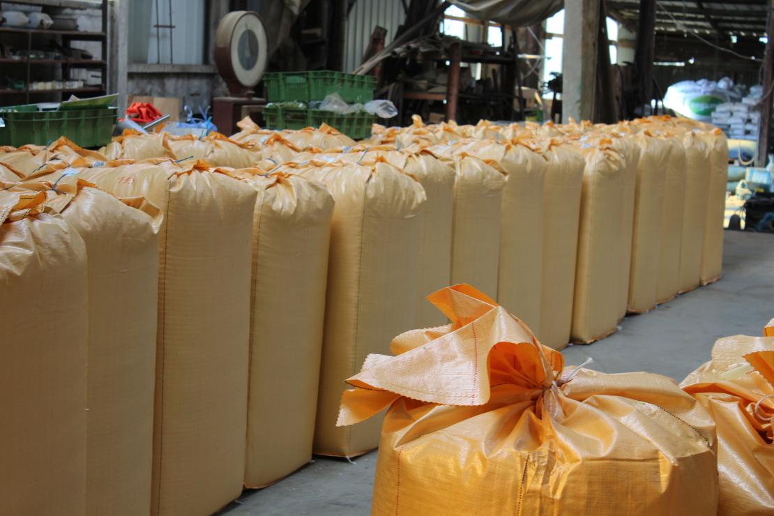 Oogst hop - De Plukker (Poperinge)